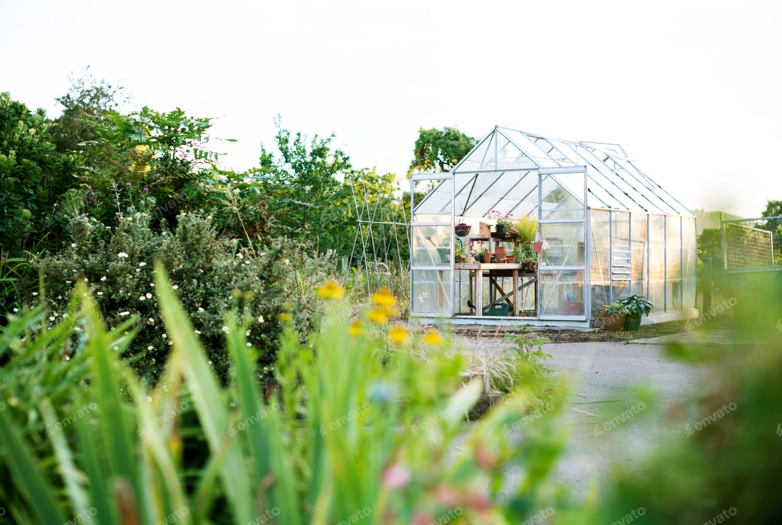 7-Day Carnivore Diet Skin Transformation. The Meat-Only Glow Up - Purishh