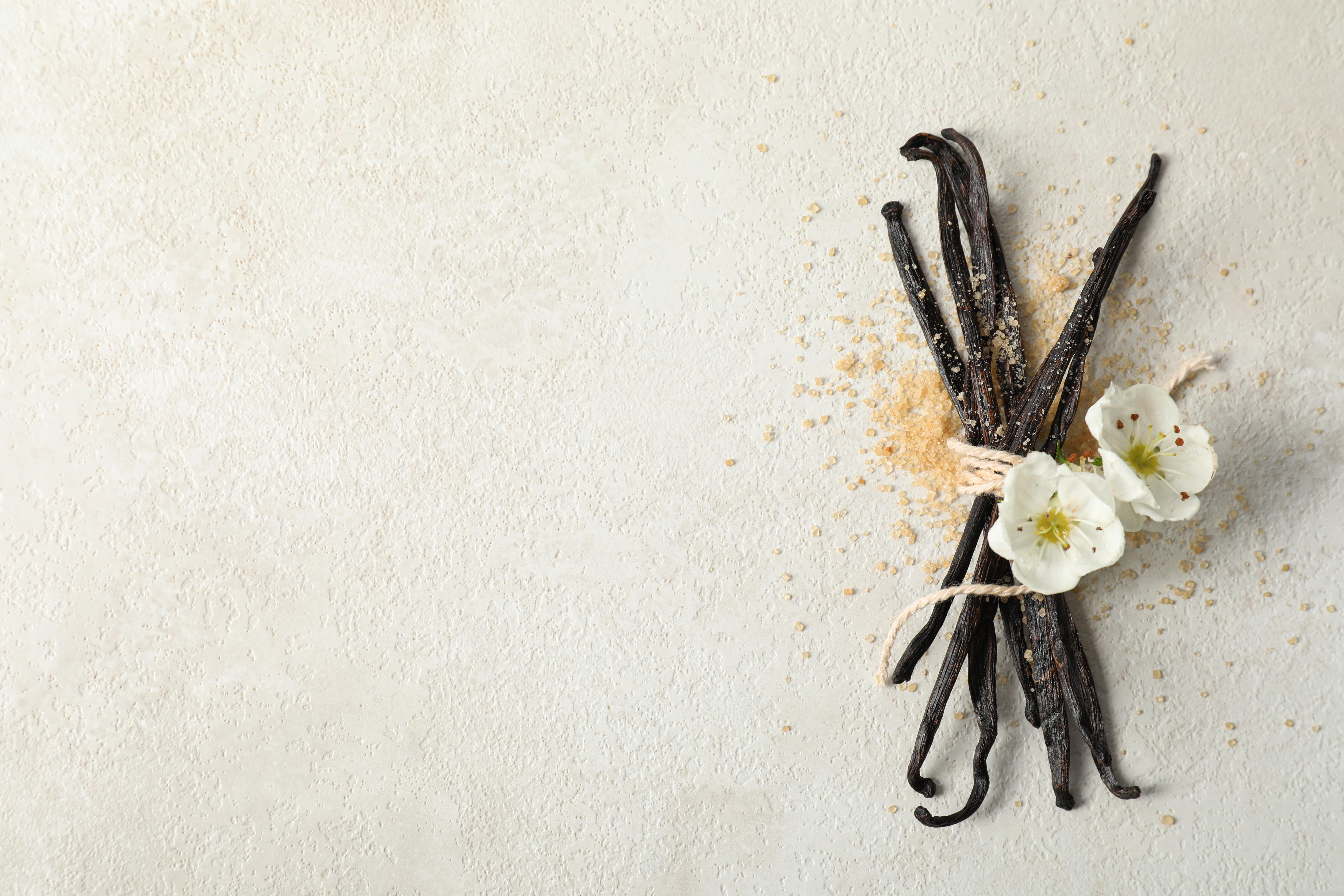 Vanilla Protein Powder